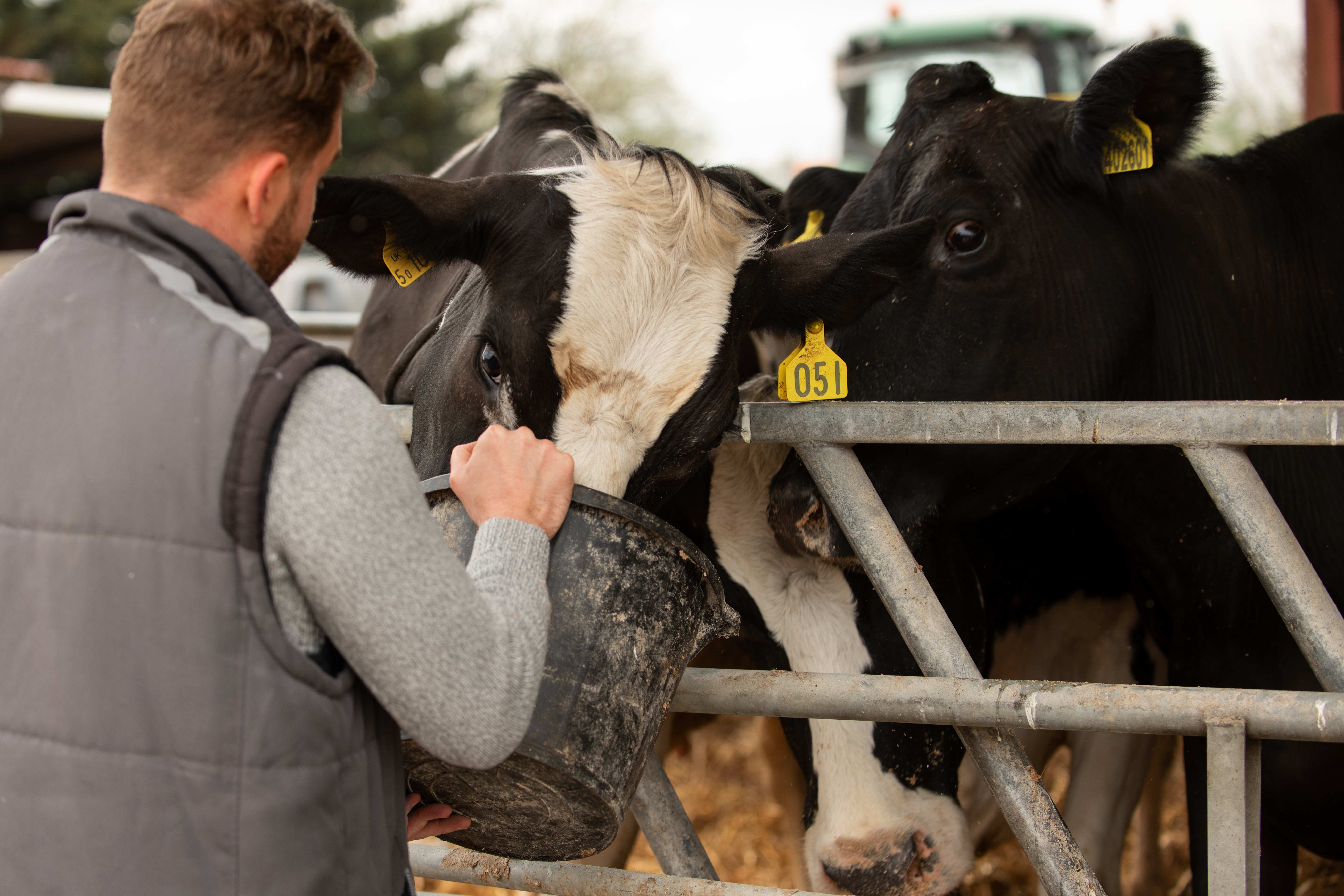 L'importance de la traçabilité de la viande pour un boucher