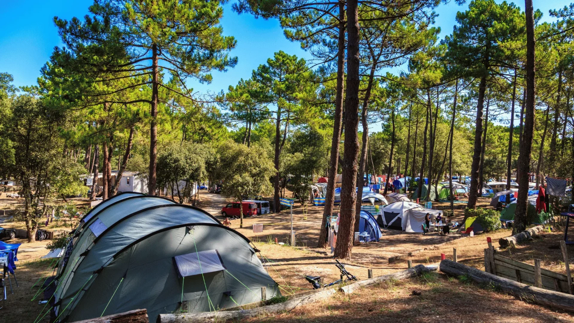 Quel logiciel de caisse camping pour une gestion optimisée ?